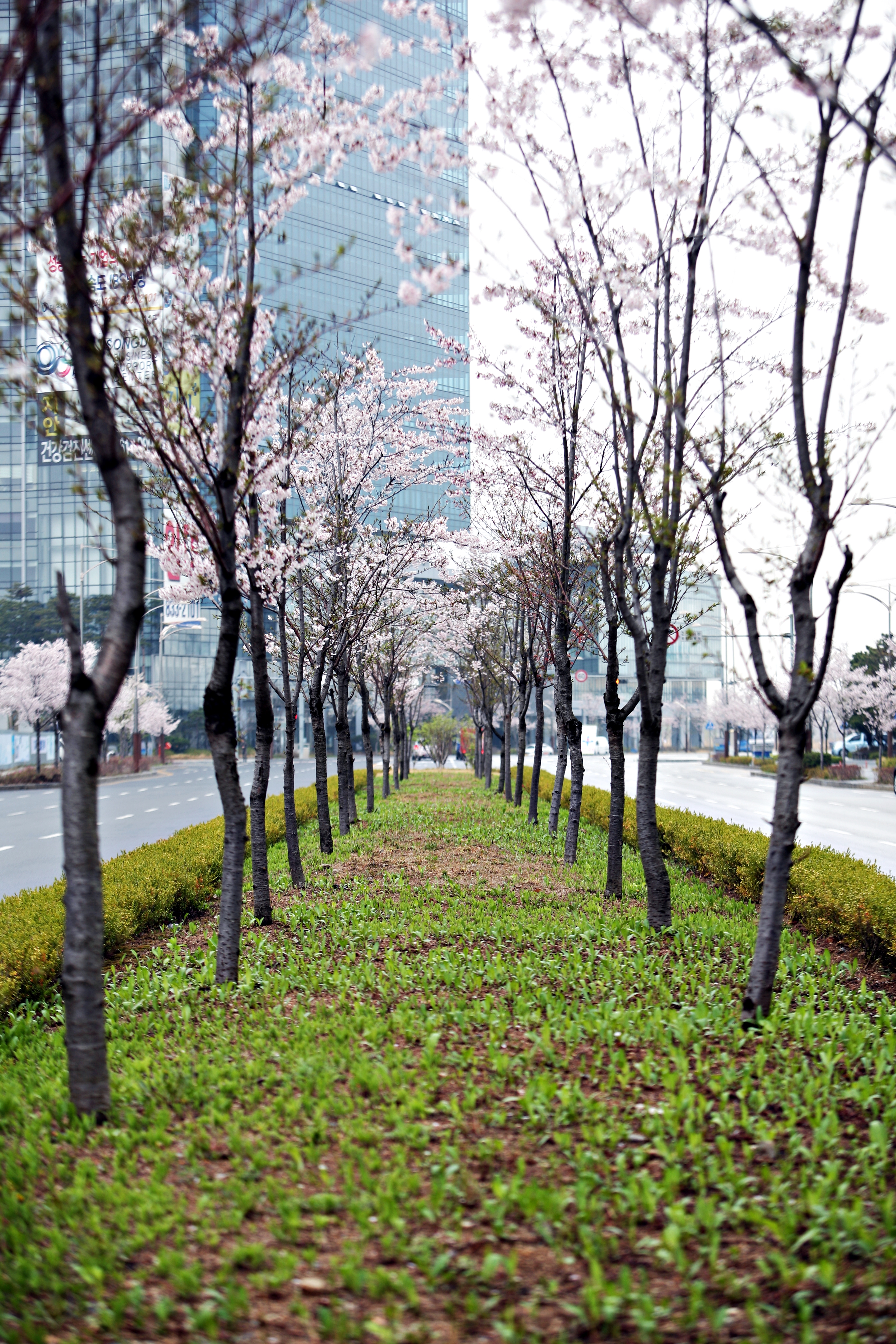 (150414)IFEZ 송도국제도시(5676)-원본