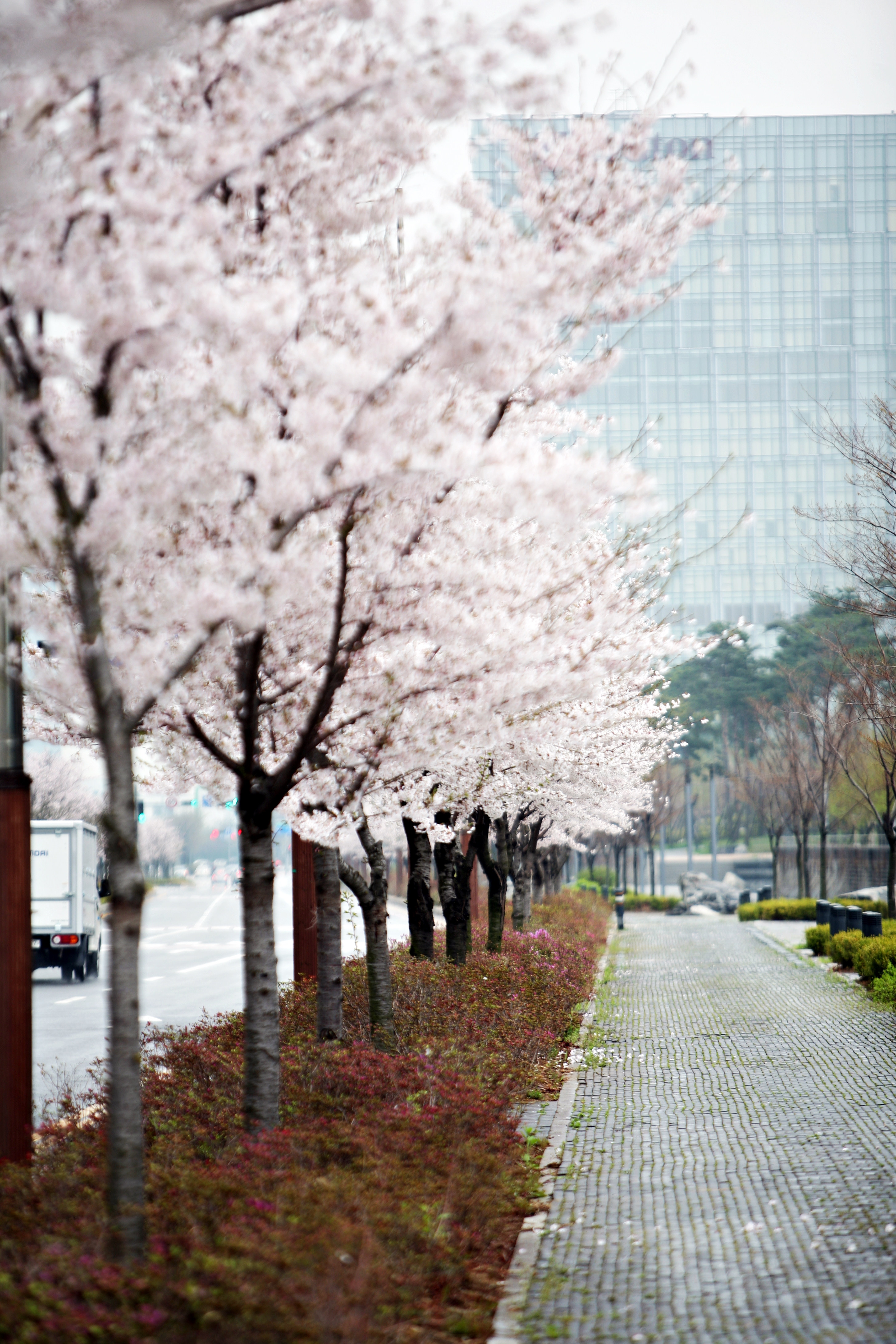 (150414)IFEZ 송도국제도시(5673)-원본