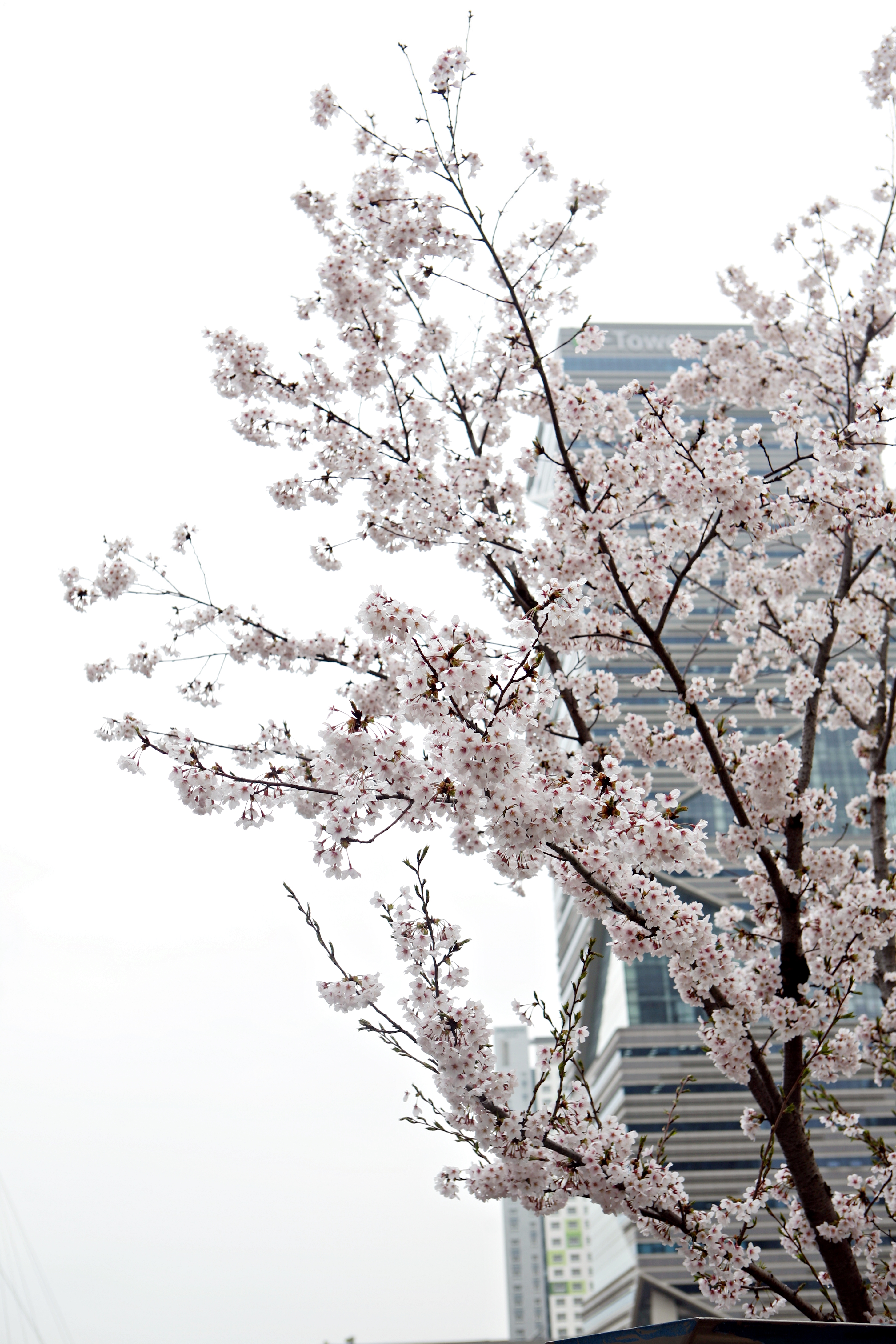 (150414)IFEZ 송도국제도시(5672)-원본