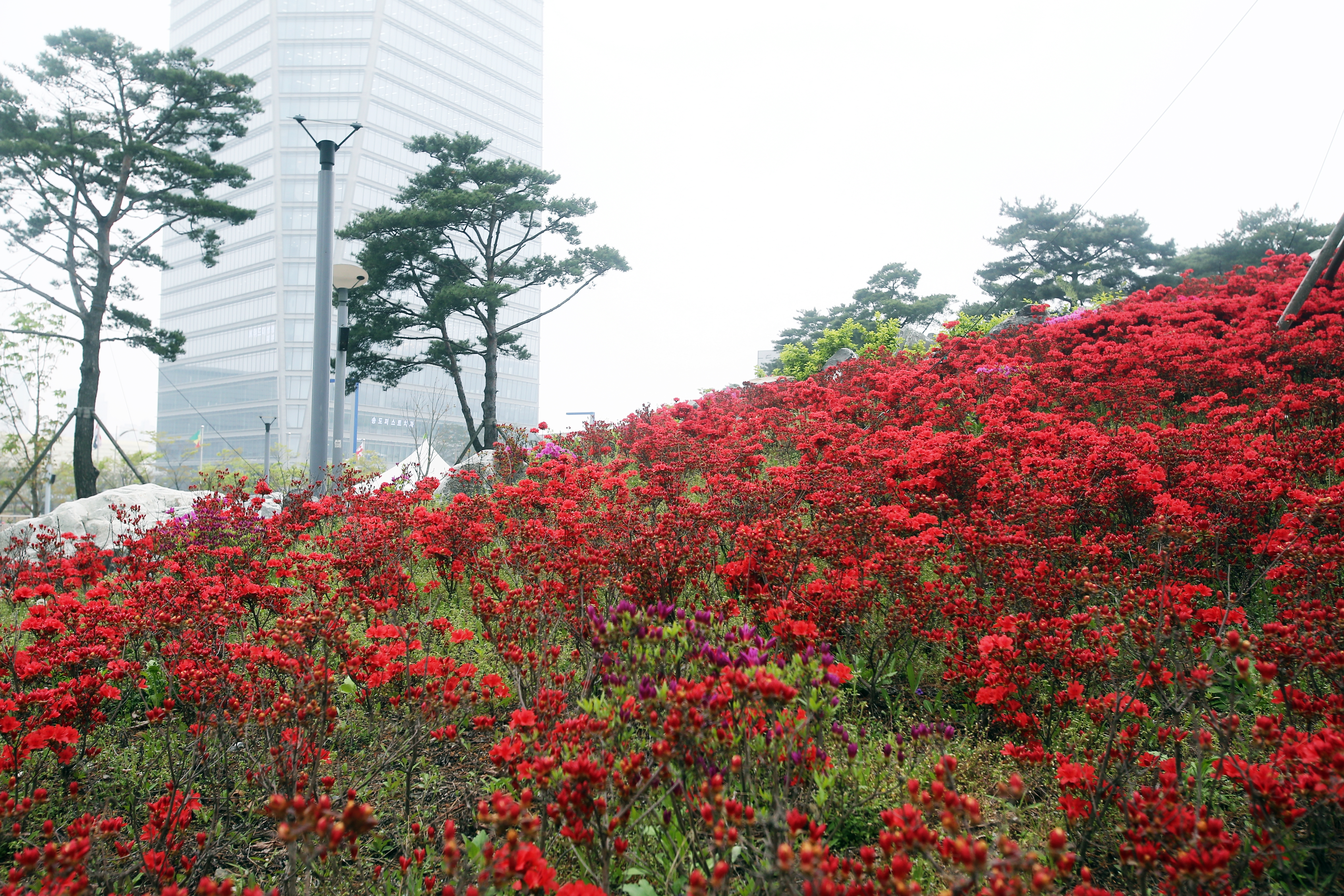 (160422)IFEZ 송도국제도시(8704)-원본