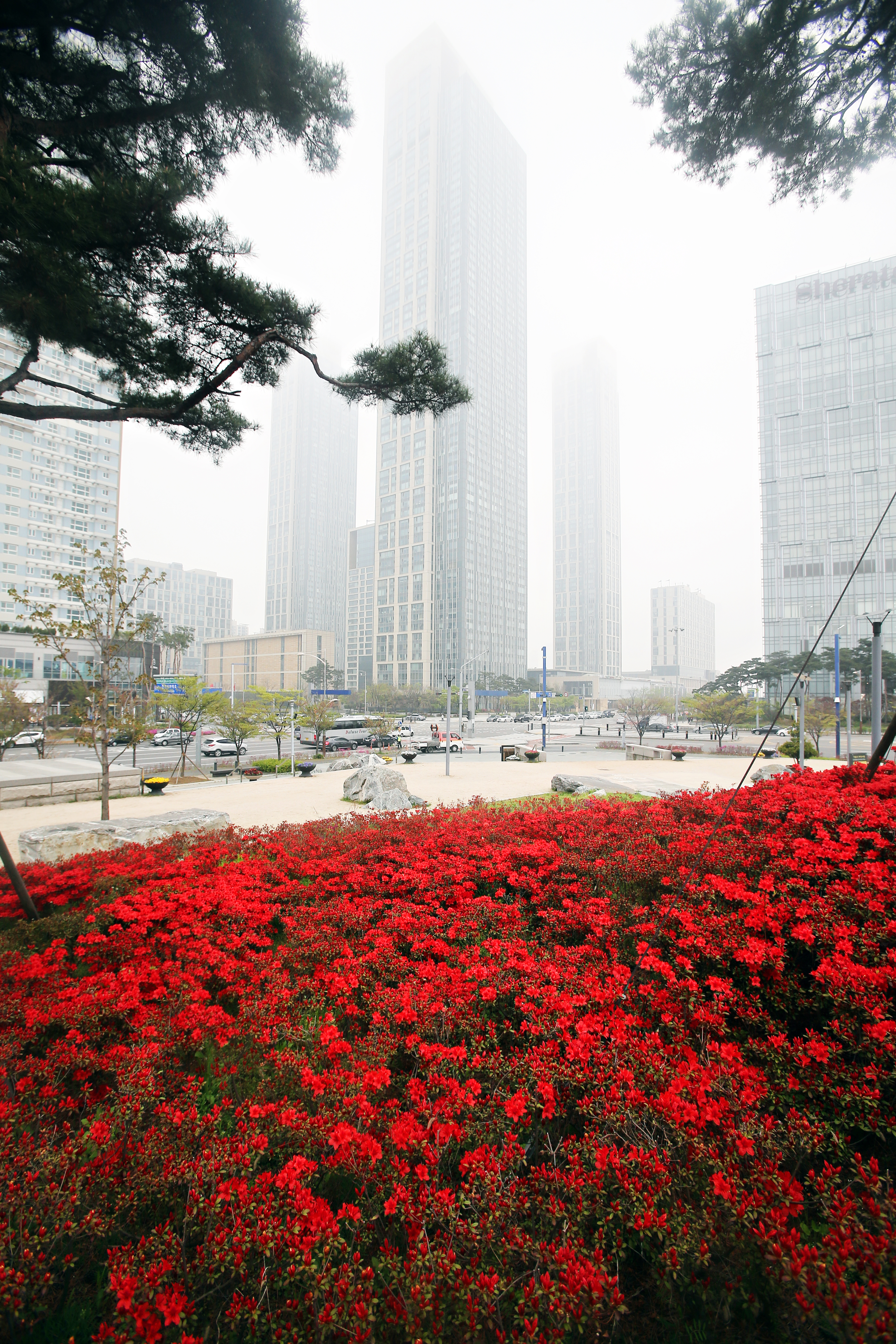(160422)IFEZ 송도국제도시(8705)-원본