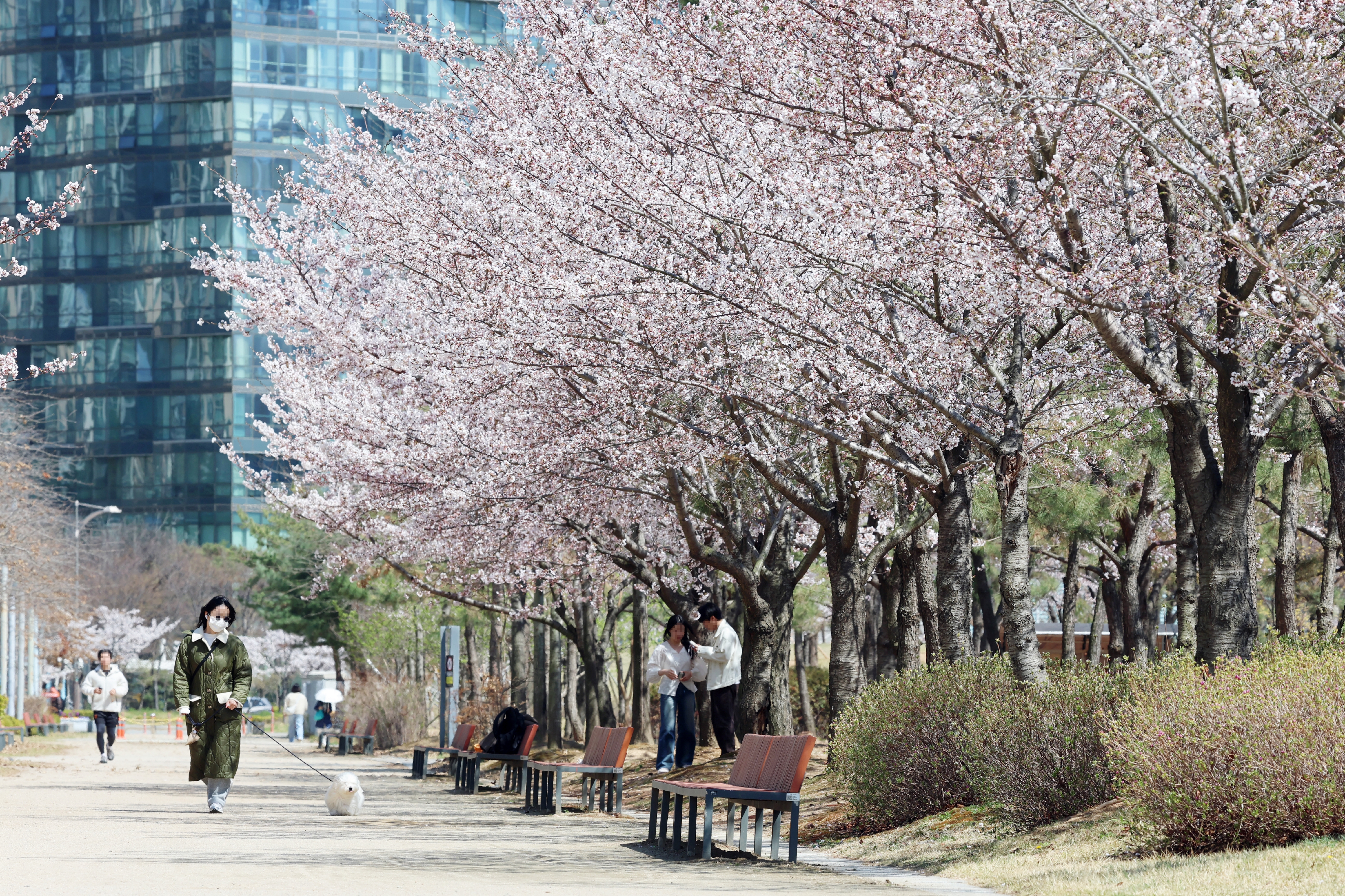 (260406)송도국제도시(0258)