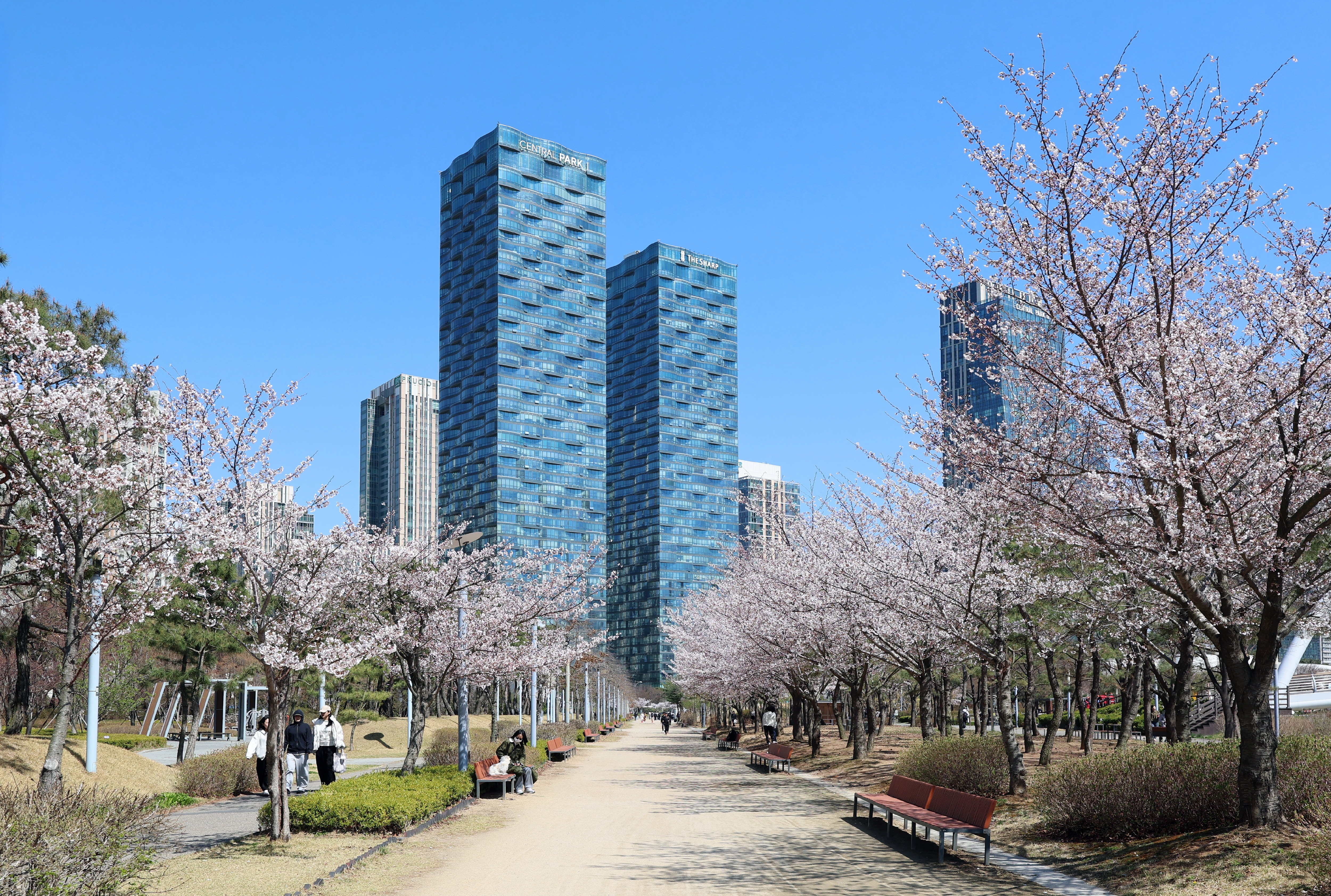 (260406)송도국제도시(0261)