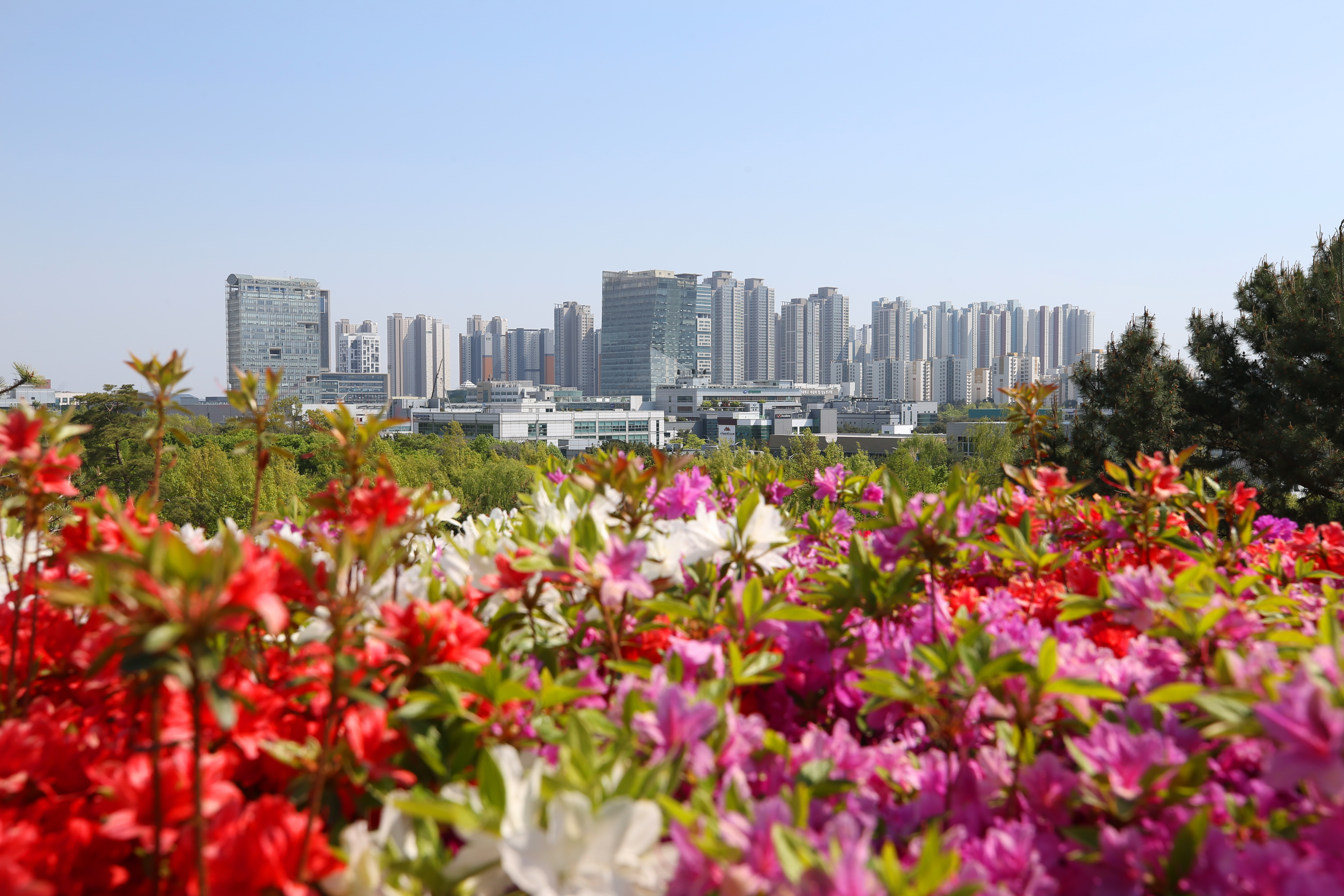 (220502)송도국제도시(6758)-원본