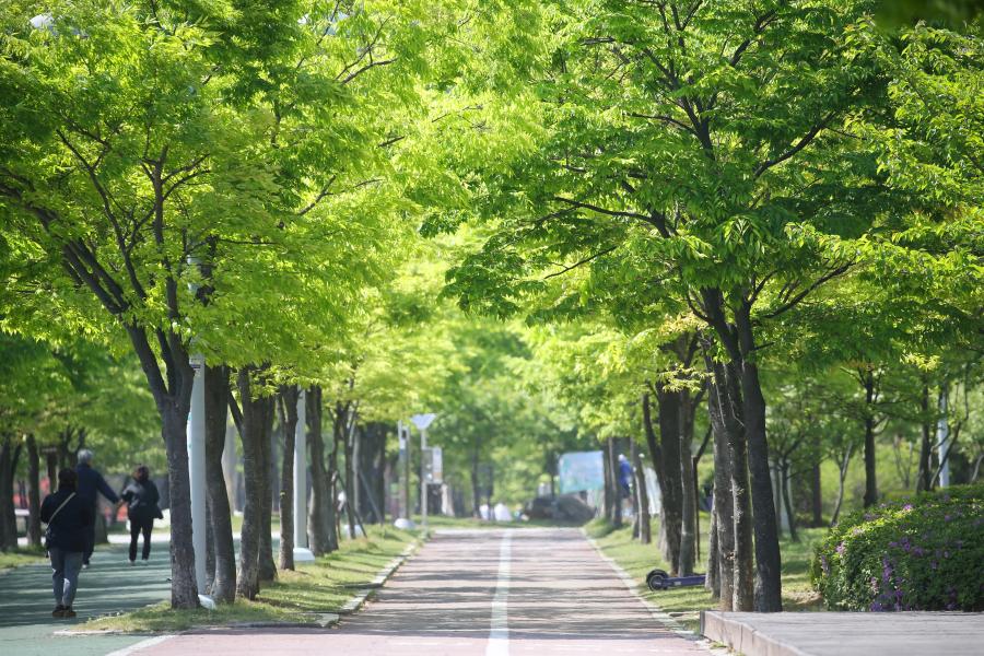 송도국제도시 해돋이 공원 봄 풍경-01(사진)