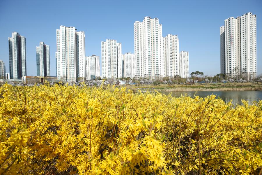 청라국제도시 봄 풍경(사진)